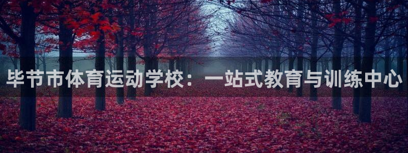 毕节市体育运动学校：一站式教育与训练中心