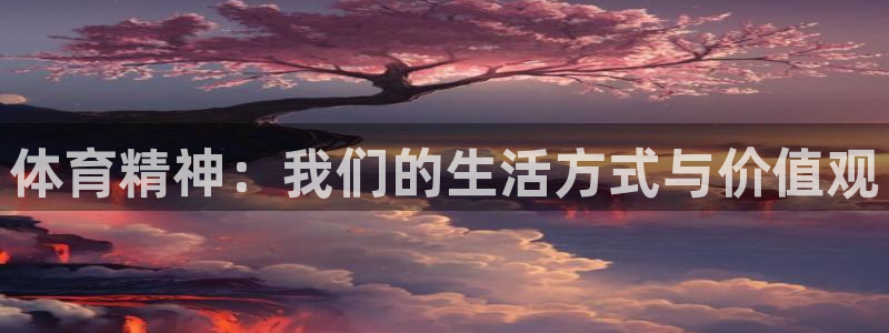 体育精神：我们的生活方式与价值观