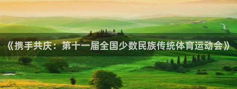 《携手共庆：第十一届全国少数民族传统体育运动会》