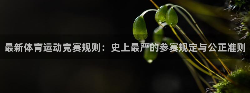 最新体育运动竞赛规则：史上最严的参赛规定与公正准则