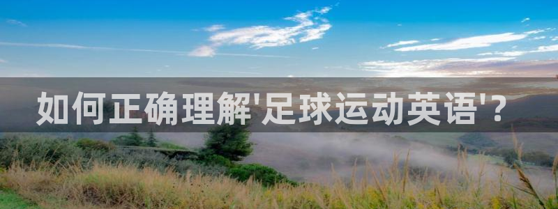 如何正确理解\'足球运动英语\'？