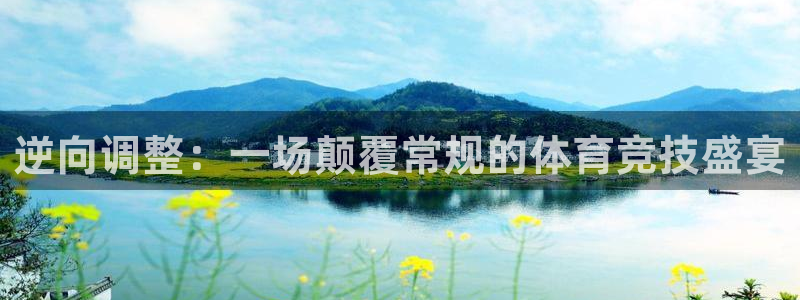 逆向调整：一场颠覆常规的体育竞技盛宴