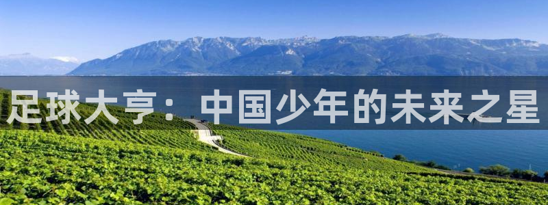 足球大亨：中国少年的未来之星