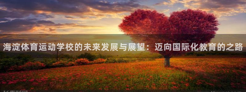 海淀体育运动学校的未来发展与展望：迈向国际化教育的之路