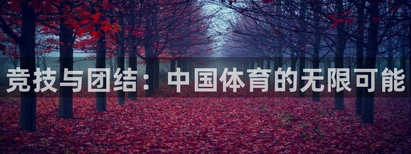 竞技与团结：中国体育的无限可能