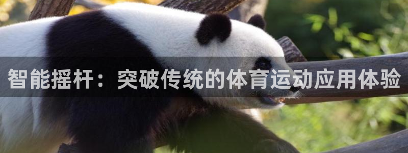 智能摇杆：突破传统的体育运动应用体验