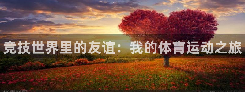 竞技世界里的友谊：我的体育运动之旅