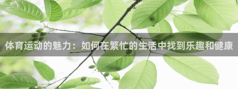 体育运动的魅力：如何在繁忙的生活中找到乐趣和健康