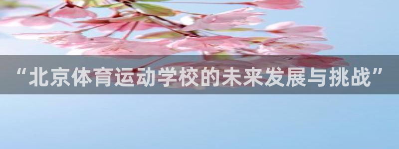 “北京体育运动学校的未来发展与挑战”